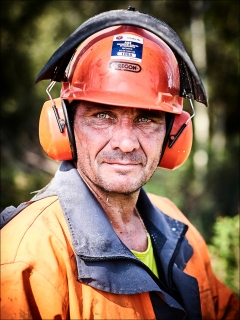 A63; Travaux; Elargissement; VL; PL; Engins; PK 155; Déboisement